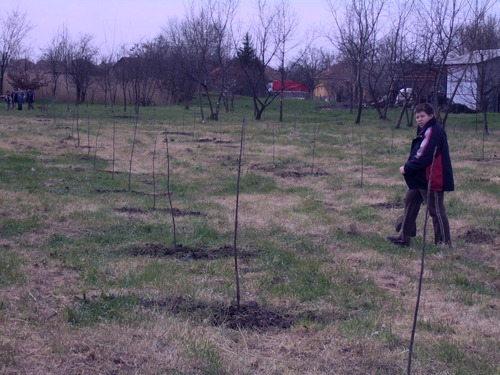Egy lakos, egy fa program – Kondoros – Diákönkormányzat – 2008. március 28.