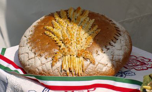 KÓRHÁZMISSZIÓI HÍRADÁS - új kenyér ünnepe
