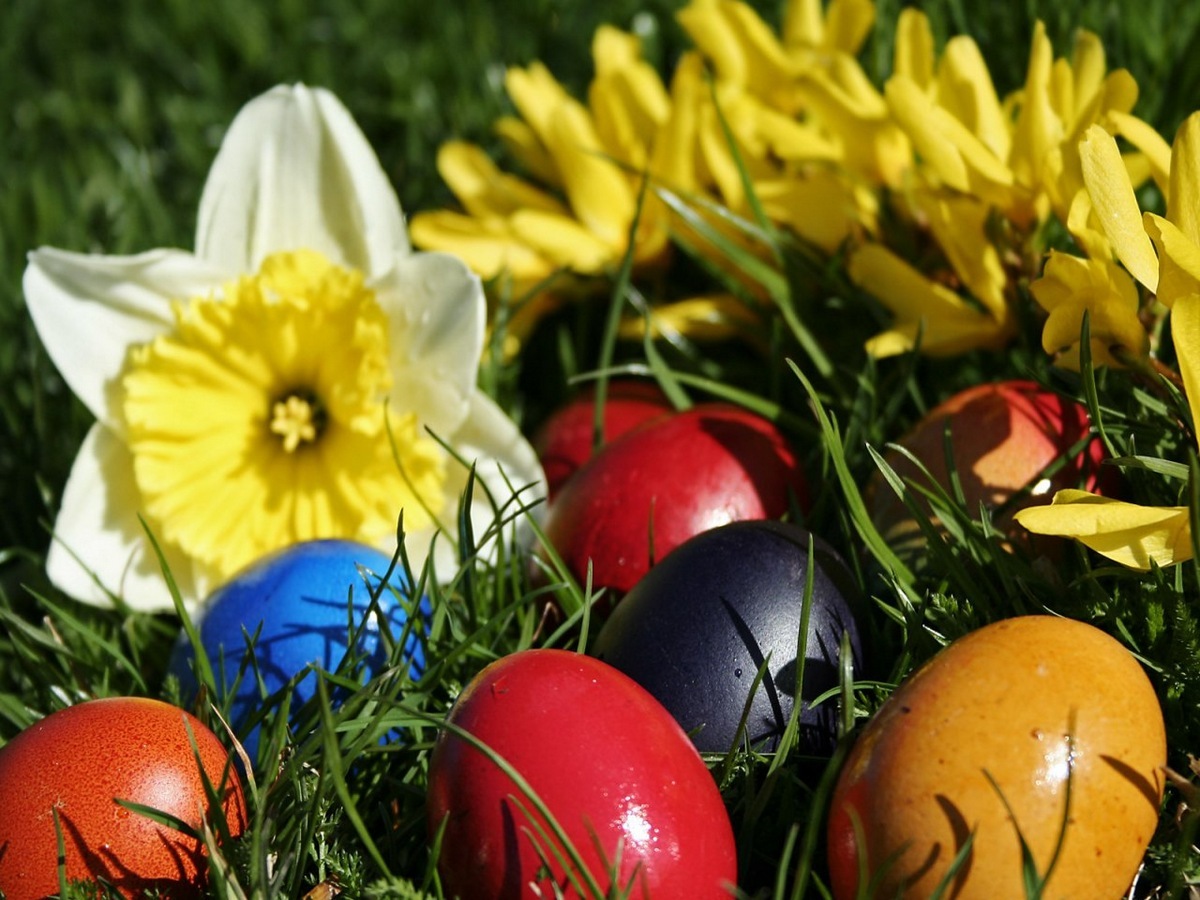 Áldott, örömteli húsvéti ünnepeket kíván a Békés Megyei Önkormányzat!