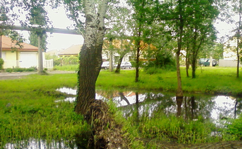 Ár- és belvízvédelmi helyzet Gyula környékén