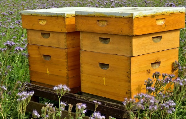 Méhkaptárakat loptak Nagyszénáson