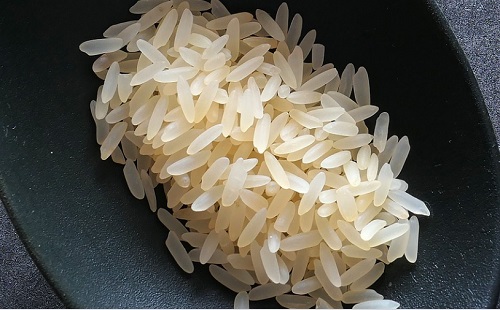 Szarvasi kutatóintézet kísérletezik rizsfajtákkal
