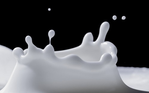 Modern megoldásokkal növelik a tejtermelést Dombegyházán