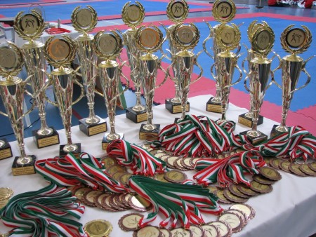 Kyokushin karate országos olimpiai döntője (2011. március 12.)